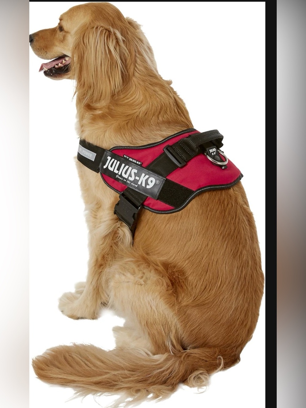 Julius K9 IDC Powerharness Nylon Reflective No Pull Dog Harness sz 3 $60 XXL
